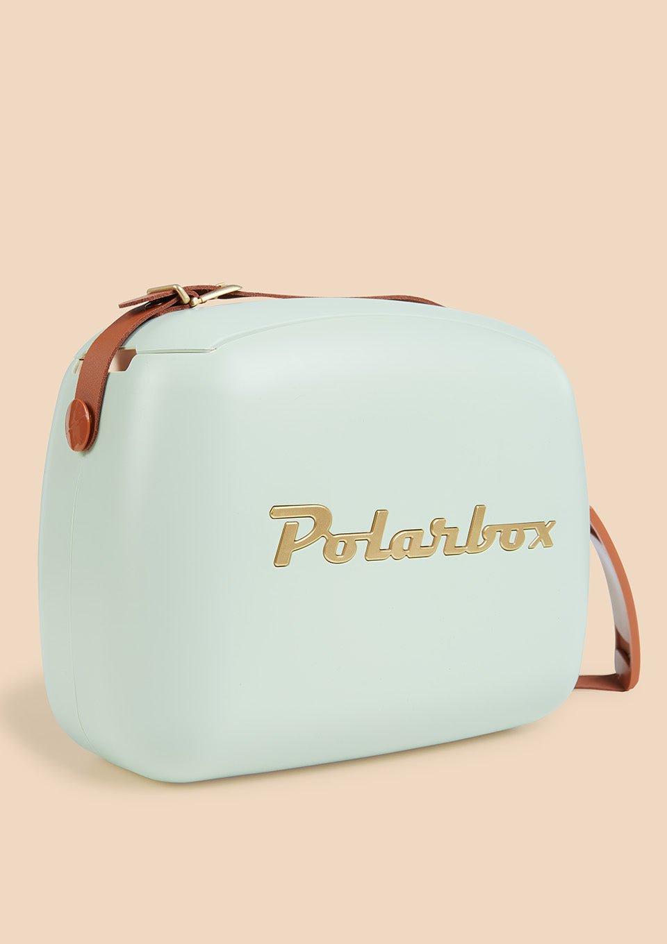 Polarbox Kühlbox 6L Retro Vintage Design "Matcha Gold" mit 2 Dosen - tiny-boon.com