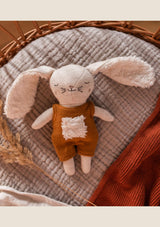 ava&yves Babyrassel Hase mit Anzug - tiny-boon.com