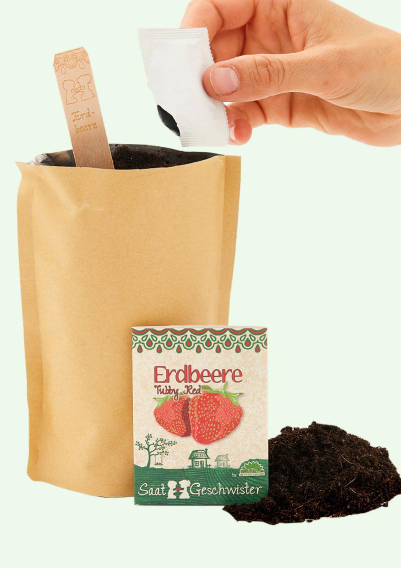 Die Stadtgärtner Minigarten "Erdbeere - Tubby Red" - tiny-boon.com