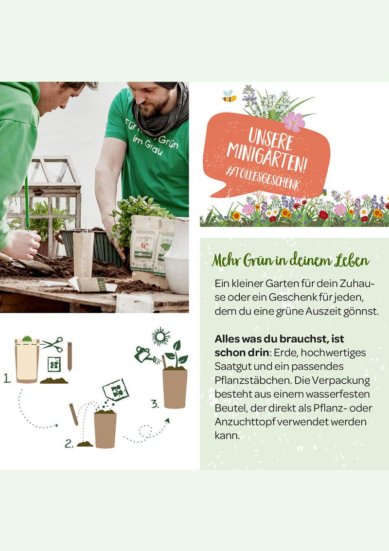 Die Stadtgärtner Minigarten "Rosmarin" - tiny-boon.com