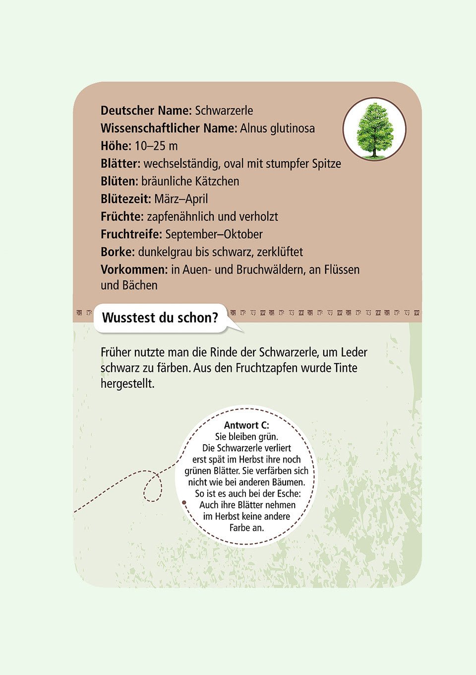 moses. Verlag Wissenskarten "Expedition Natur - 50 heimische Bäume" - tiny-boon.com