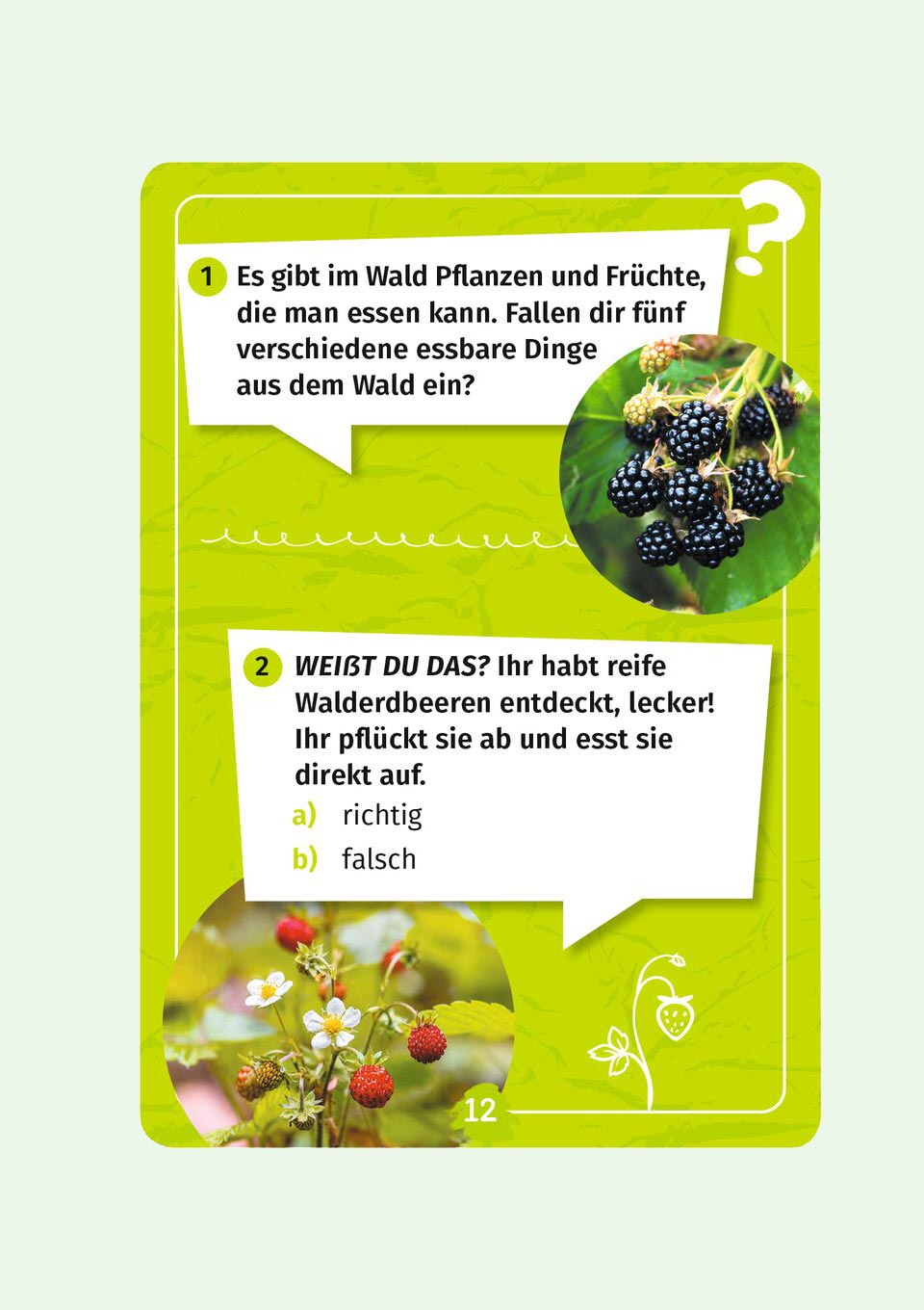 moses. Wissenskarten "Mein Wald-Forscherquiz" - tiny-boon.com